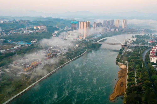 靖西全方位對外開放成效顯著 外貿(mào)進出口同比增長21%